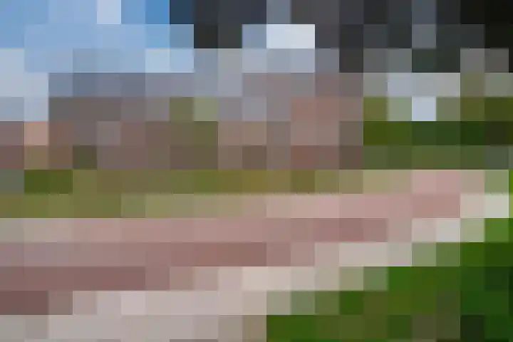 Vondellaan 2 C Zevenaar thumbnail 9