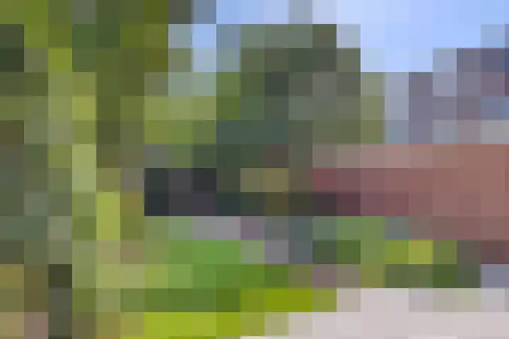 Vondellaan 2 Rijswijk thumbnail 12
