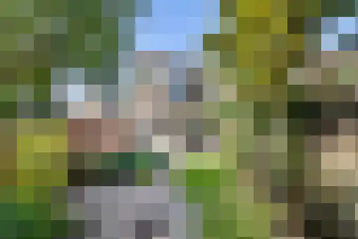 Vondellaan 2 Rijswijk thumbnail 13