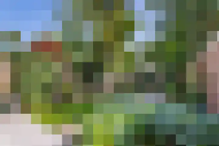 Vondellaan 2 Rijswijk thumbnail 14