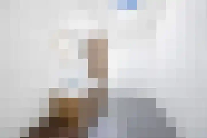 Vondellaan 2 Rijswijk thumbnail 21
