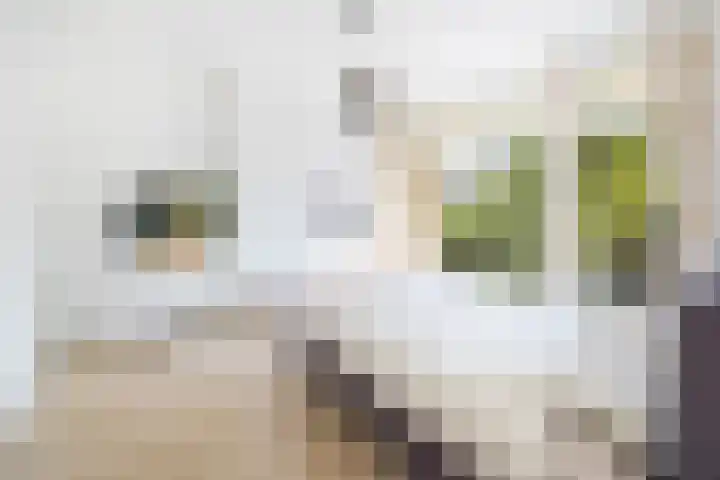 Vondellaan 2 Rijswijk thumbnail 22