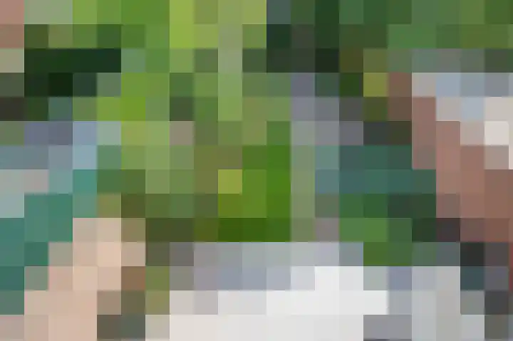Vondellaan 2 Rijswijk thumbnail 27