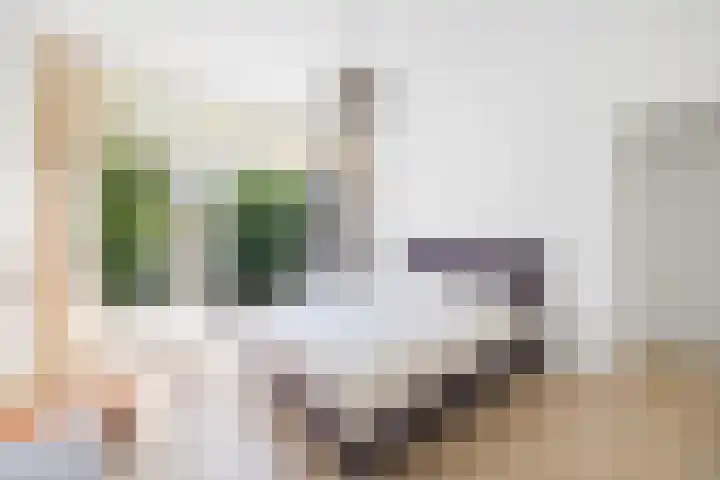 Vondellaan 2 Rijswijk thumbnail 4