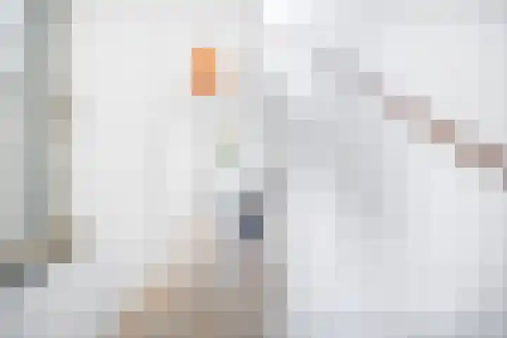 Vondellaan 2 Rijswijk thumbnail 7