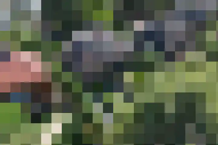 Vondellaan 21 Baarn thumbnail 38