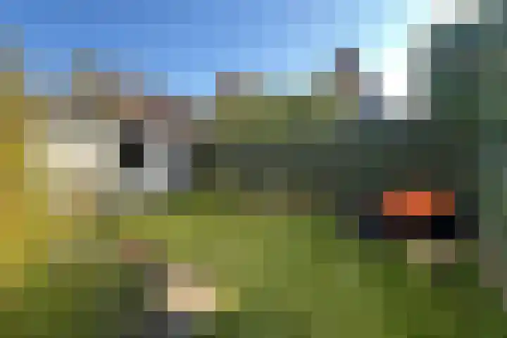 Vondellaan 22 Soest thumbnail 27