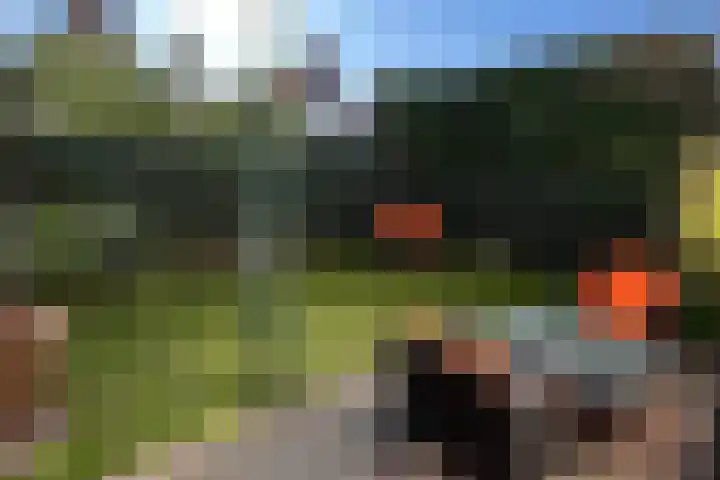 Vondellaan 22 Soest thumbnail 28
