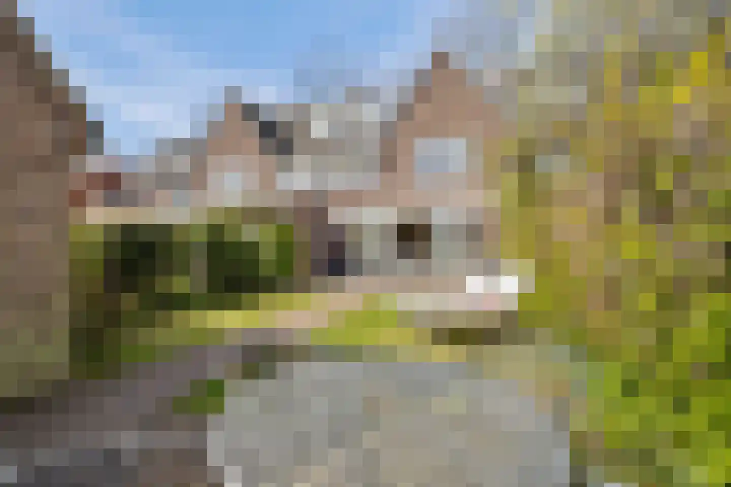 Vondellaan 23 Bussum thumbnail 21