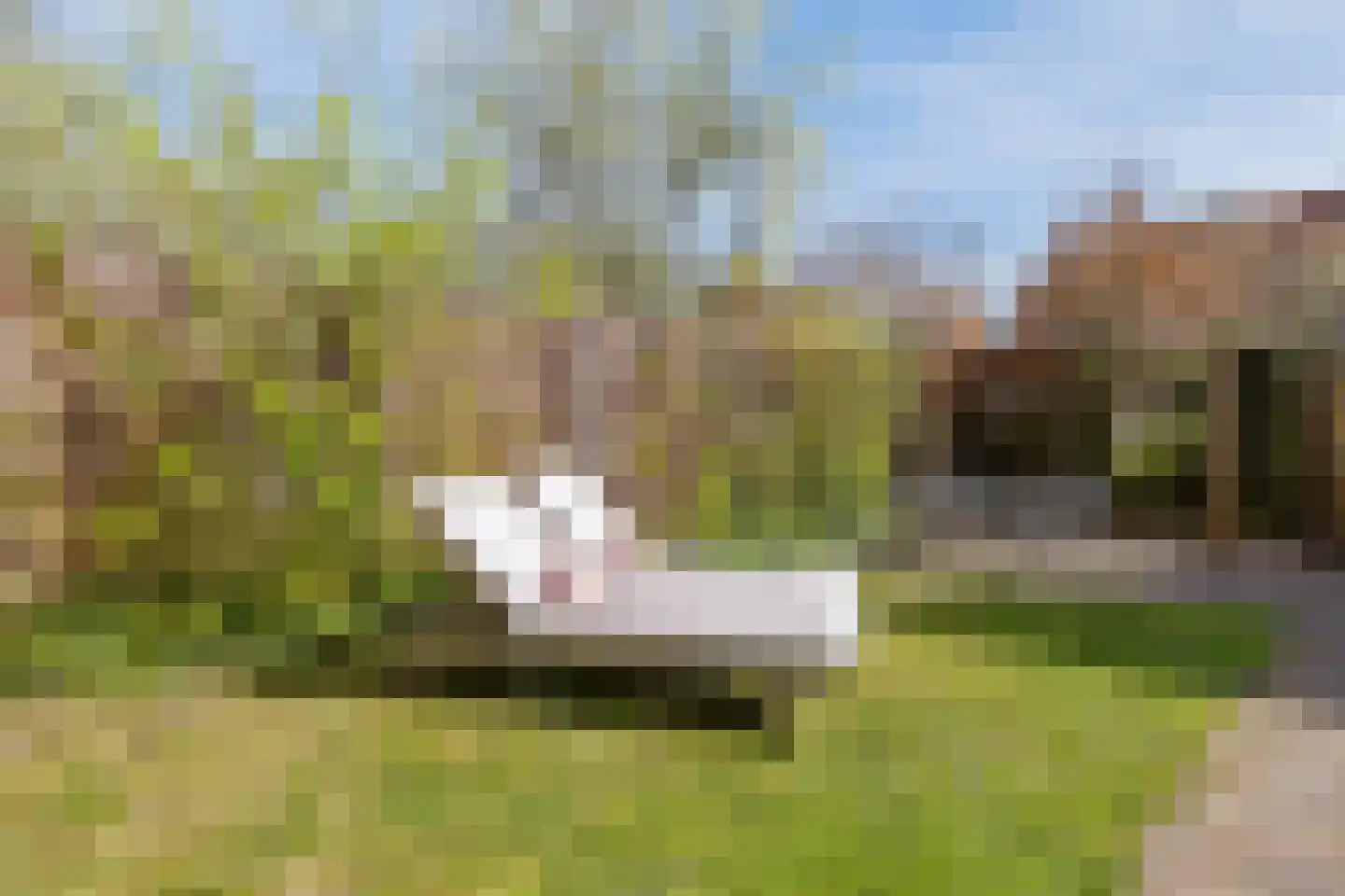 Vondellaan 23 Bussum thumbnail 24
