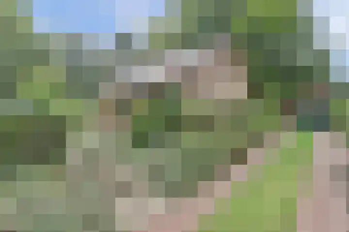 Vondellaan 25 Ermelo thumbnail 35