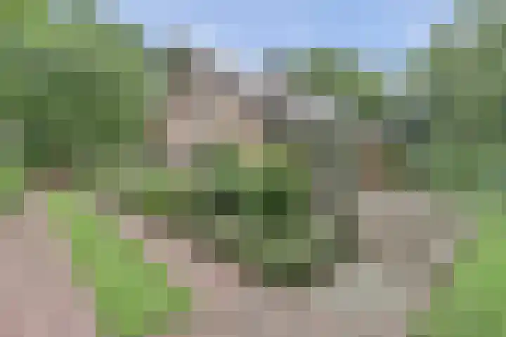Vondellaan 25 Ermelo thumbnail 36