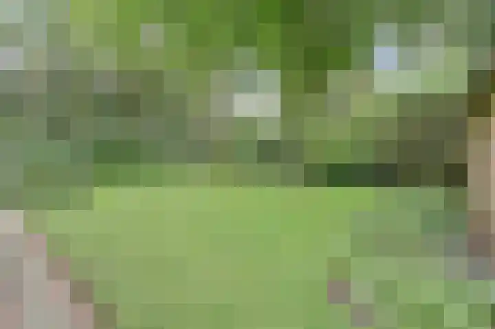 Vondellaan 25 Ermelo thumbnail 4