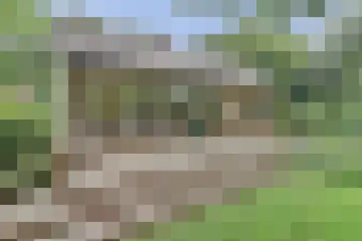 Vondellaan 25 Ermelo thumbnail 41