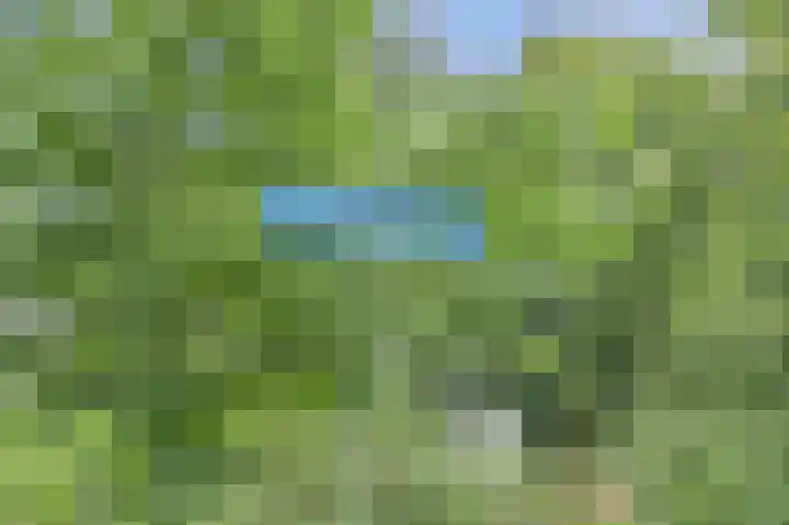 Vondellaan 25 Ermelo thumbnail 42