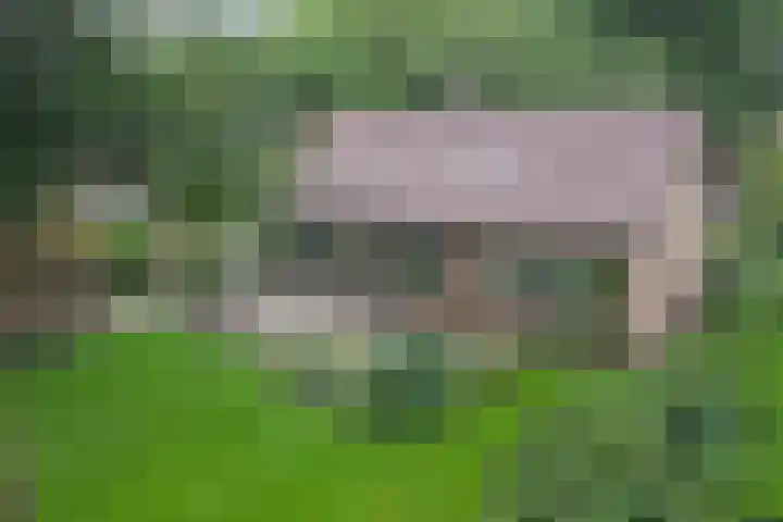 Vondellaan 25 Ermelo thumbnail 43