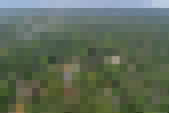 Vondellaan 25 Ermelo thumbnail 46