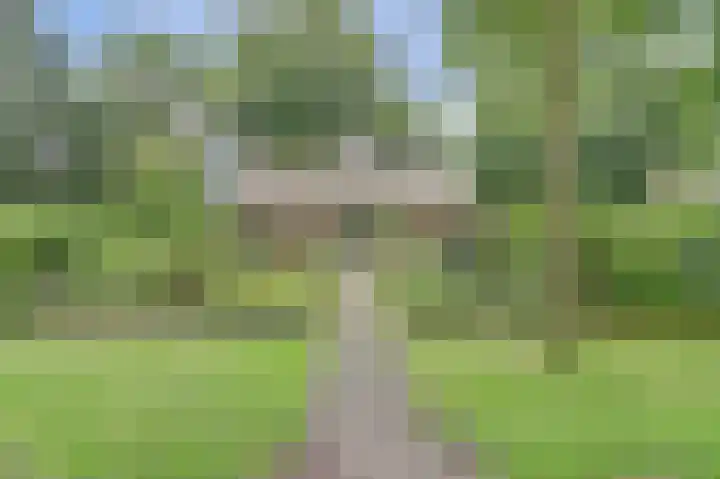 Vondellaan 25 Ermelo thumbnail 6