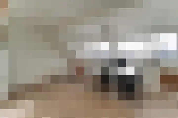 Vondellaan 40 Groningen thumbnail 12