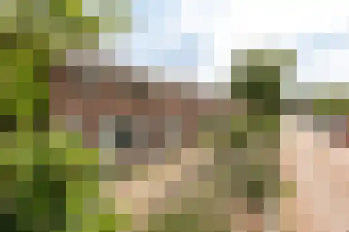 Vondellaan 40 Groningen thumbnail 28