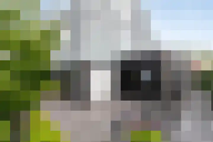 Vondellaan 42 Woudenberg thumbnail 25
