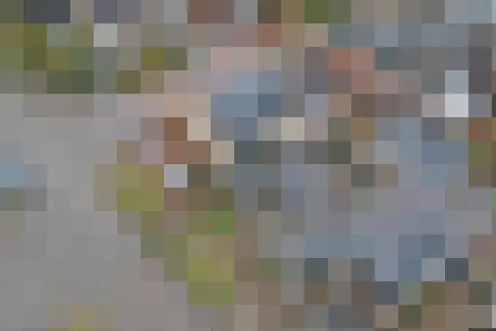 Vondellaan 42 Woudenberg thumbnail 47