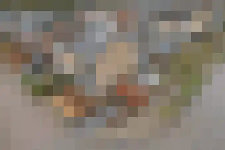 Vondellaan 42 Woudenberg thumbnail 48