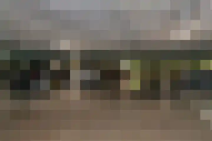 Vondellaan 47 Ridderkerk thumbnail 33