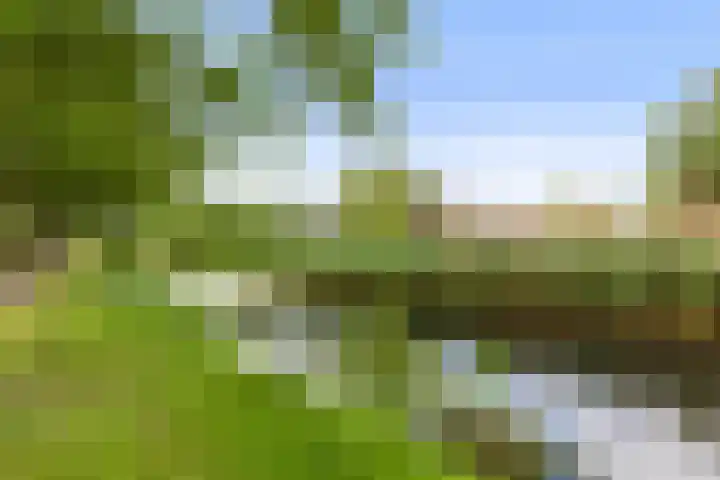 Vondellaan 47 Ridderkerk thumbnail 36