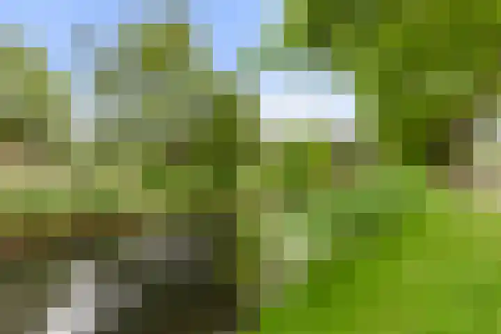 Vondellaan 47 Ridderkerk thumbnail 37