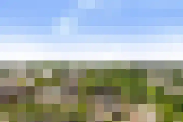 Vondellaan 47 Ridderkerk thumbnail 38