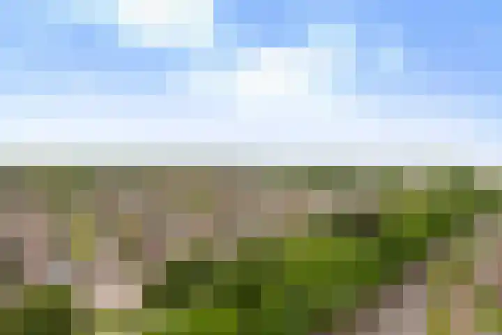 Vondellaan 47 Ridderkerk thumbnail 40