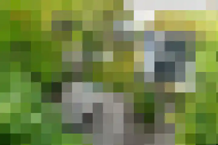 Vondellaan 63 Arnhem thumbnail 26