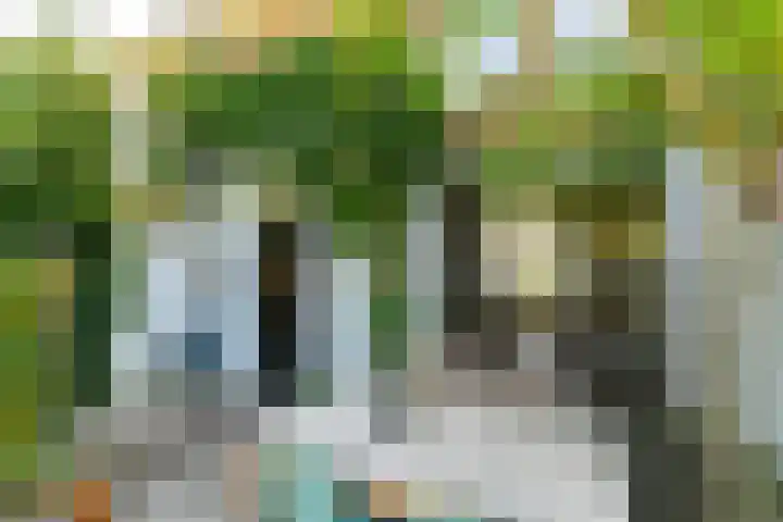 Vondellaan 63 Arnhem thumbnail 37