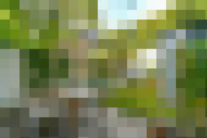Vondellaan 63 Arnhem thumbnail 40
