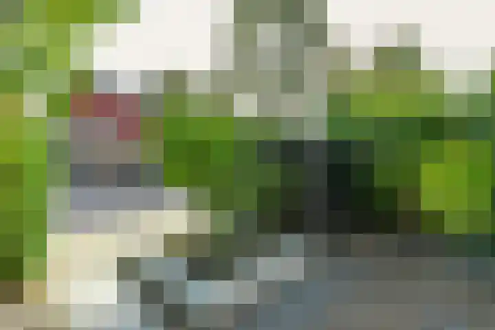 Vondellaan 63 Arnhem thumbnail 6