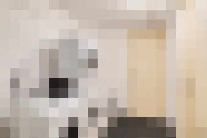 Vondellaan 67 e Groningen thumbnail 24