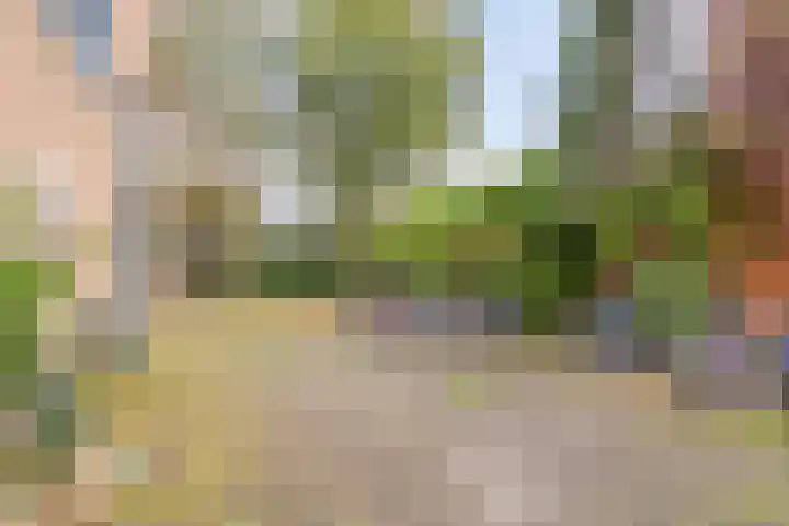 Vondellaan 67 e Groningen thumbnail 29
