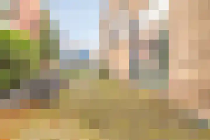 Vondellaan 67 e Groningen thumbnail 30