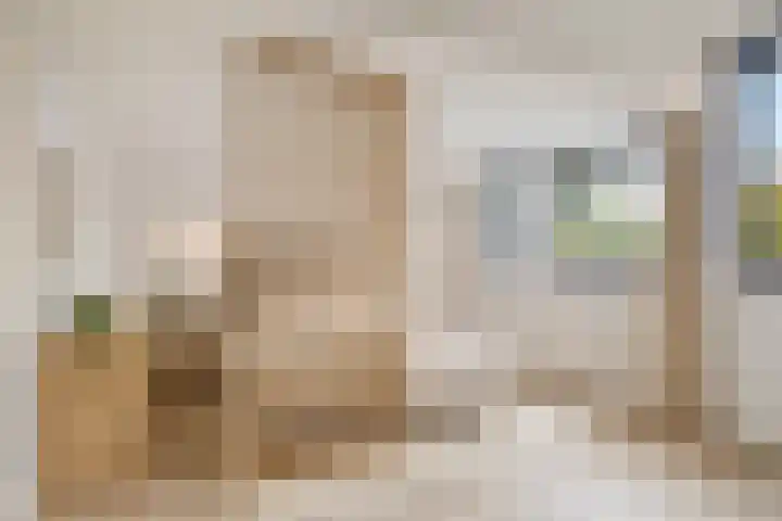 Vondellaan 67 e Groningen thumbnail 4