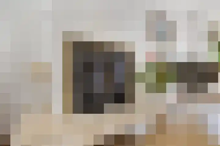 Vondellaan 7 Arnhem thumbnail 11