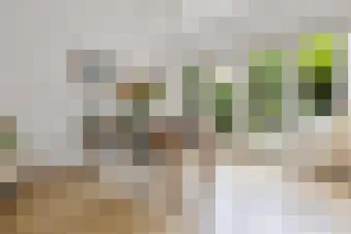 Vondellaan 7 Arnhem thumbnail 12