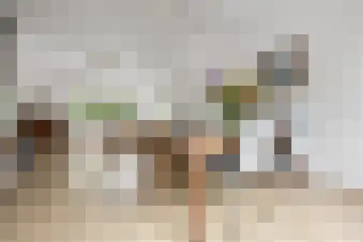 Vondellaan 7 Arnhem thumbnail 13