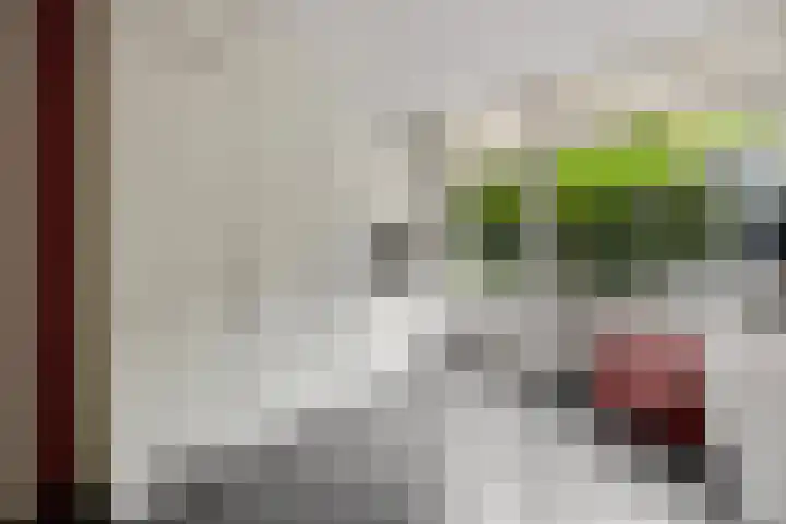 Vondellaan 7 Arnhem thumbnail 17