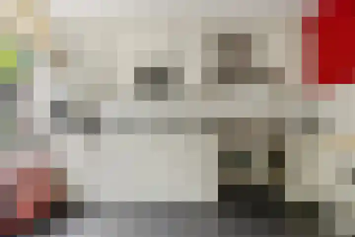 Vondellaan 7 Arnhem thumbnail 18