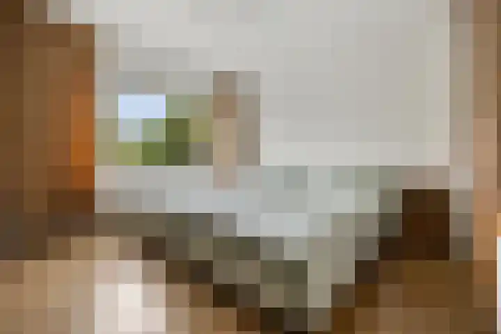 Vondellaan 7 Arnhem thumbnail 20