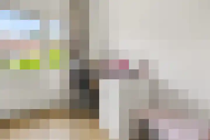 Vondellaan 7 Arnhem thumbnail 25