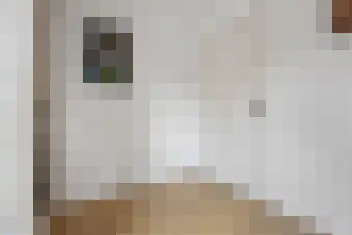 Vondellaan 7 Arnhem thumbnail 37