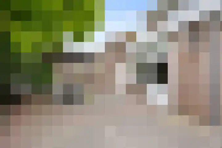 Vondellaan 7 Arnhem thumbnail 41