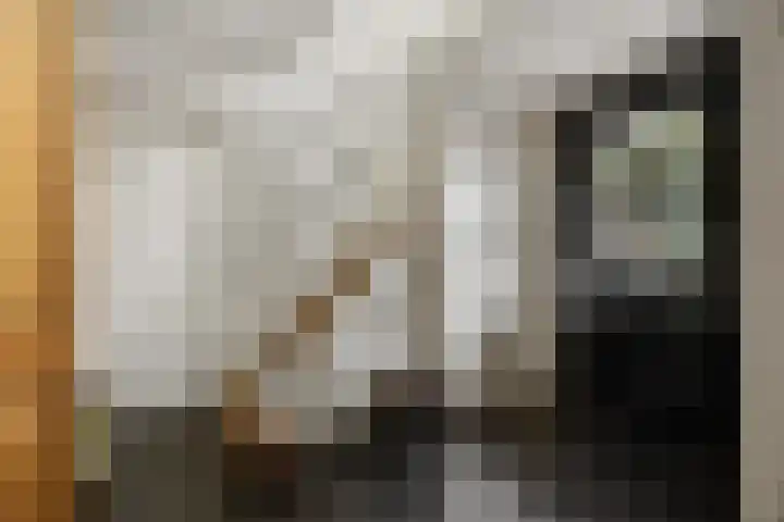 Vondellaan 7 Arnhem thumbnail 5